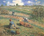 Camille Pissarro Field work Spain oil painting artist